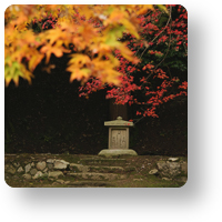 正暦寺の紅葉 　＞＞＞本堂へのお参りを済ませて、改めて境内を見渡すと、お堂の横の土手の上に、小さな石仏がひとつ。阿弥陀如来と菩薩様です。　＞＞＞http://camtips.jp/shoryakuji-autumn-leaves/ …