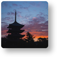興福寺　五重塔の朝焼け_icon