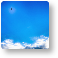青空と鳥_icon
