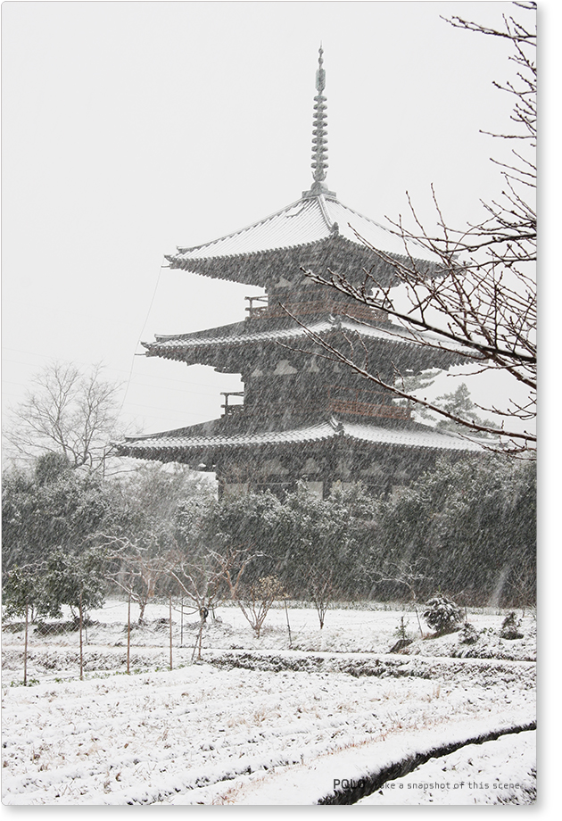 雪の法起寺_1