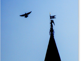 尖塔と鳩