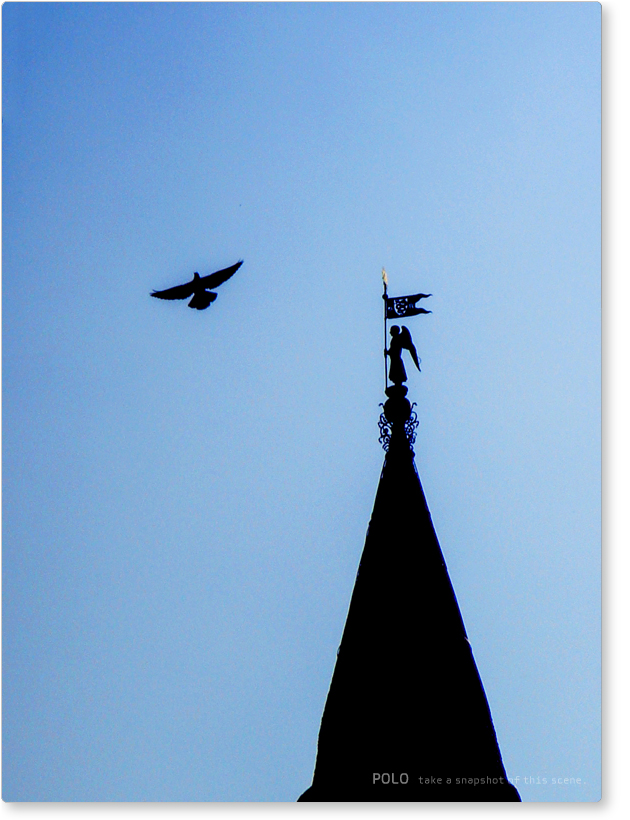 尖塔と鳩