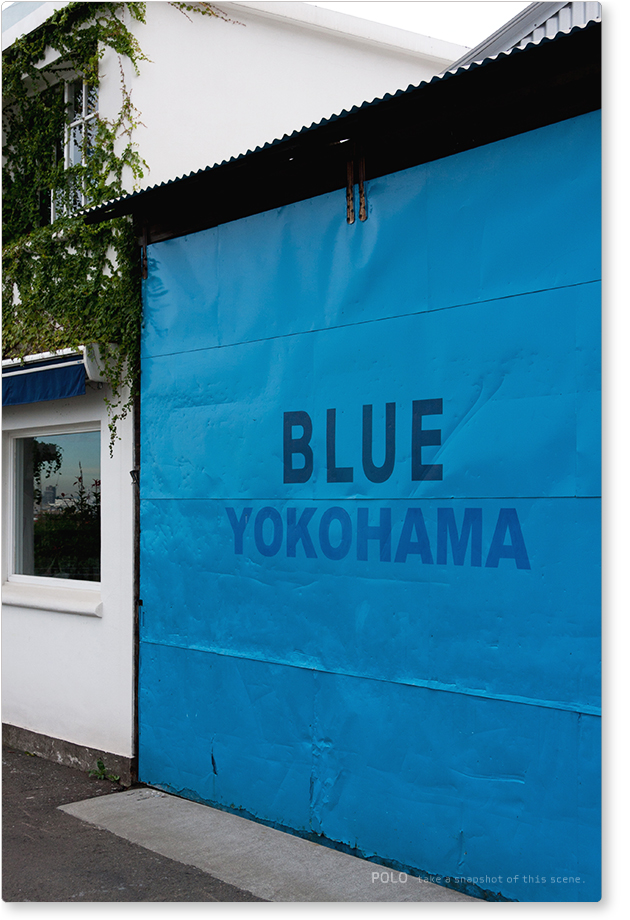 BLUE BLUE YOKOHAMA_2