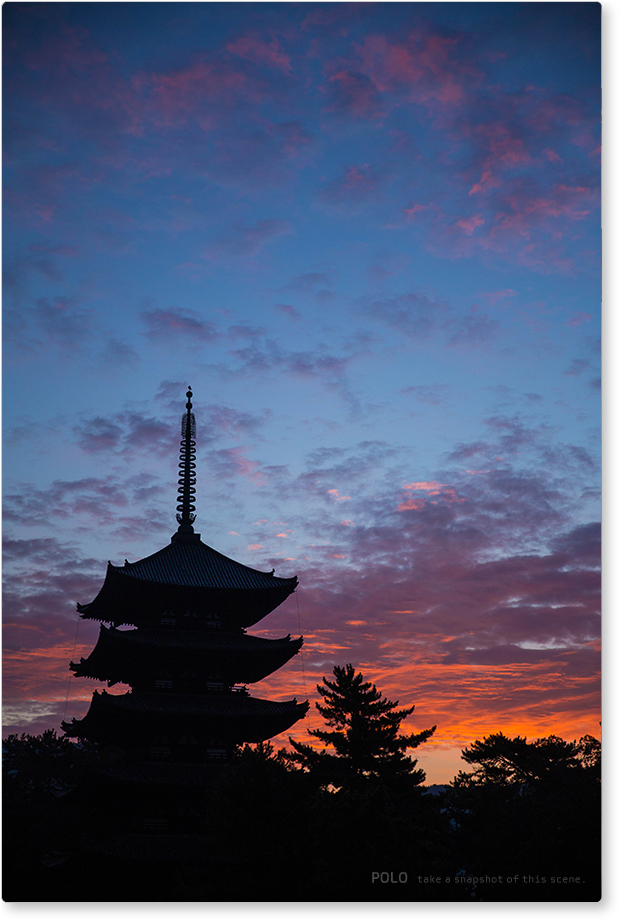 興福寺　五重塔の朝焼け