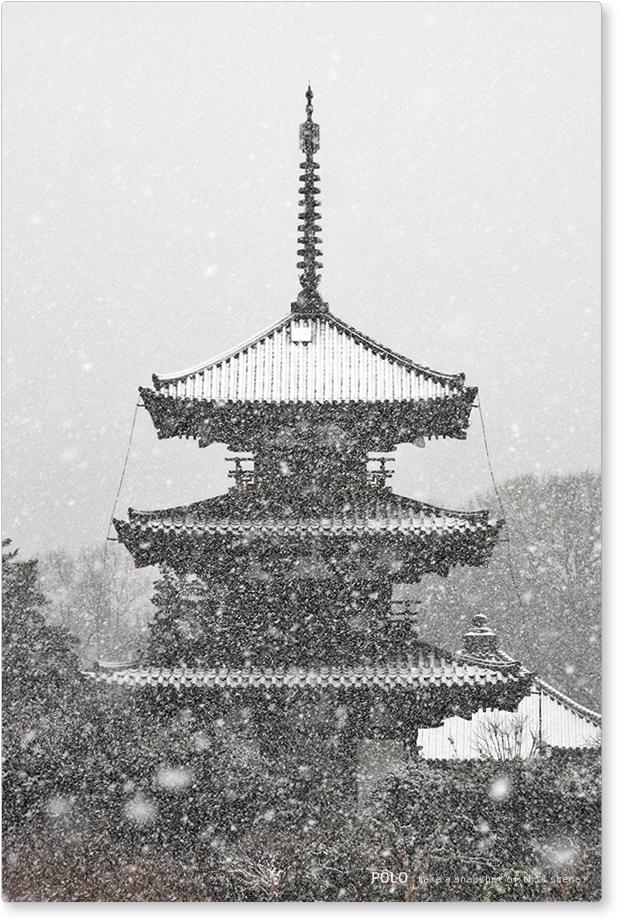 雪の法起寺_3